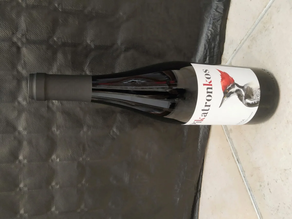 VINO Pikatronko Crianza 2019 /DoCa Rioja