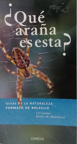 ¿QUÉ ARAÑA ES ESTA?