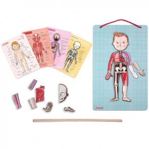 Juego Anatomía Bodymagnet