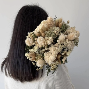 Desert lore sorta lehorra