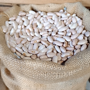 Ibeas/Carico babarruna