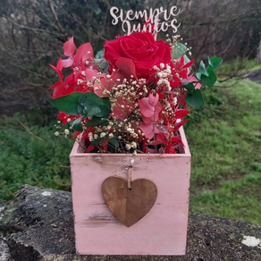 Centro siempre juntos