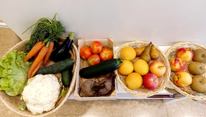 CESTA FRUTA Y VERDURA ECOLÓGICA (SÁBADO - MARTES)