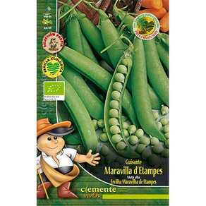 Guisante Maravilla de Etampes