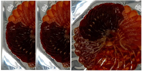 3 tablas EMBUTIDO JAUNENE (Cecina, lomo, salchichón y chorizo)