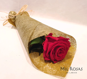 ROSA ETERNA EN VARIOS COLORES