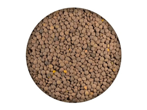 Dilista Pardina JAUNENE