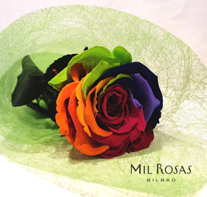 ROSA ETERNA- ARCOIRIS