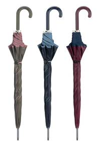 ANDRE LUZEAREN ATERKIA