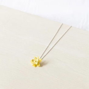 Collares Colis MrLaspiur