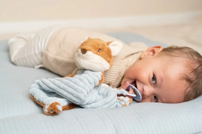 Little Dutch Dou dou zorrito Forest friends