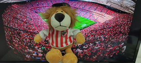 Peluche León Athletic