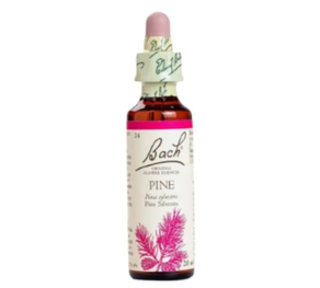 FLOR DE BACH ORIGINAL PINO SILVESTRE (PINE)