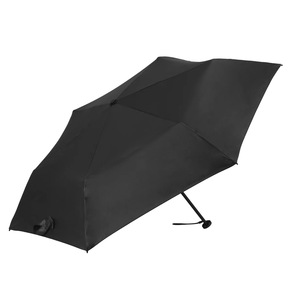 ZALDUN TOLESGARRIAREN ATERKIA