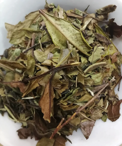 Pai mu tan (té blanco) (250 gr)