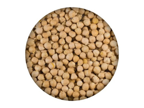 Garbantzu pedrosillanoa