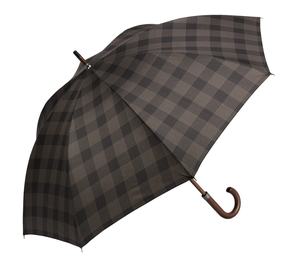 ZALDUN LUZEAREN ATERKIA