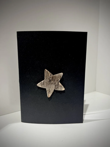 POSTAL ESTRELLA NE RELIEVE + SOBRE