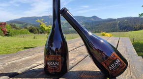 Txakoli Aran - lote 3 unidades