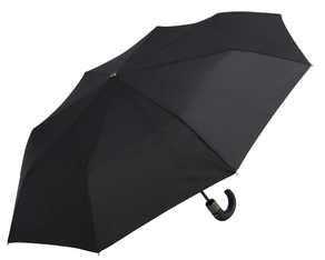 ZALDUN TOLESGARRIAREN ATERKIA