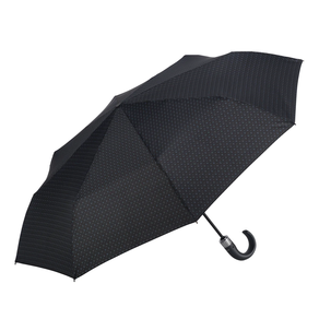 ZALDUN TOLESGARRIAREN ATERKIA