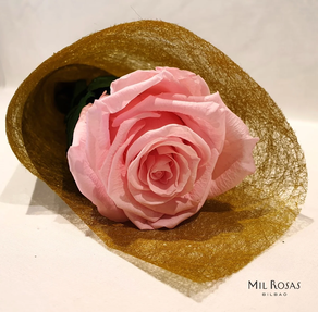 ROSA ETERNA- ROSA CLARITA