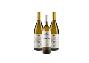 Aguirrebeko txakolinaren 2 botila eta Berroja txakolinaren botila bat