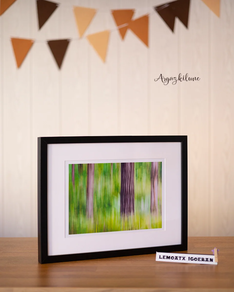 Cuadro paisajes de Bizkaia 42x32 cms