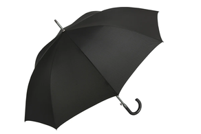 ZALDUN LUZEAREN ATERKIA