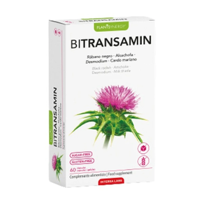 BITRANSAMIN INTERSA