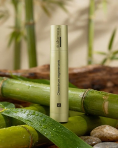 OLEOSERUM REGENERANTE 30 ml DULKAMARA BAMBOO