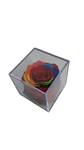 Rosa preservada en metacrilato arcoiris