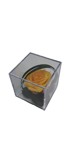 Rosa preservada en metacrilato amarilla