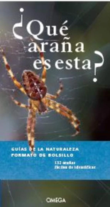 ¿QUE ARAÑA ES ESTA?