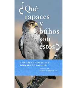 ¿Que Rapaces Y Buhos Son Estos?