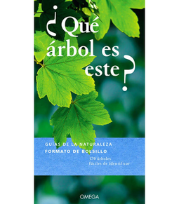 ¿Que Arbol Es Este?
