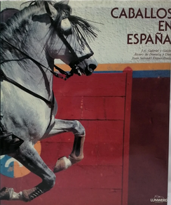 CABALLOS EN ESPAÑA