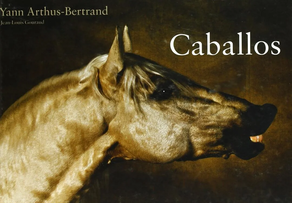 caballos