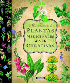 plantas medicinales y curativas