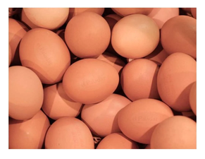 Arrautza landatarra Uxarbeiti Baserria (dozena)