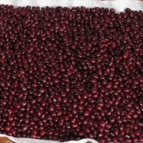 Alubia de Gernika Uxarbeiti Baserria (1 kg)