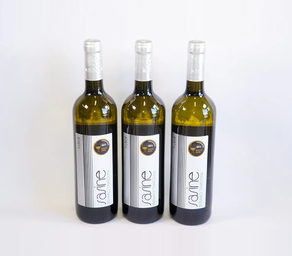 Txakoli Sasine Butroi (botella)