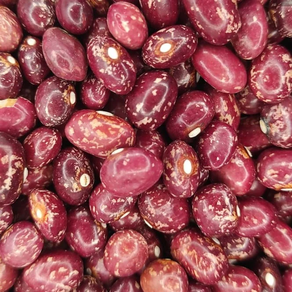 Alubia tolosana (pinta) Uxarbeiti Baserria (1 kg)