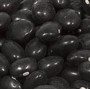 Alubia negra Uxarbeiti Baserria (1 kg)