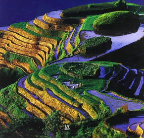 CHINA - EL REINO DEL DRAGON