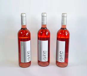 Txakoli Sasine rosado Butroi (botella)