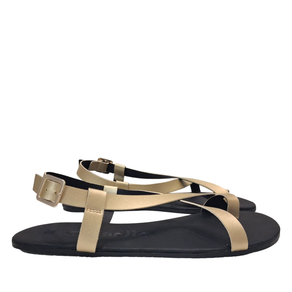 SANDALIA BAREFOOT 1565 CHAMPAN