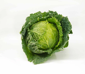 Berza Uxarbeiti Baserria (unidad)