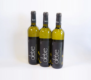 Txakoli Oletxe Butroi (botella)