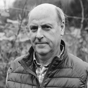 Txakolina Erdikotxe (botila)